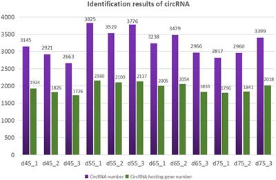 Expression Profiling and Functional Analysis of Circular RNAs in Inner Mongolian Cashmere Goat Hair Follicles